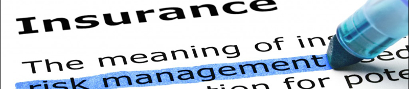 risk management services