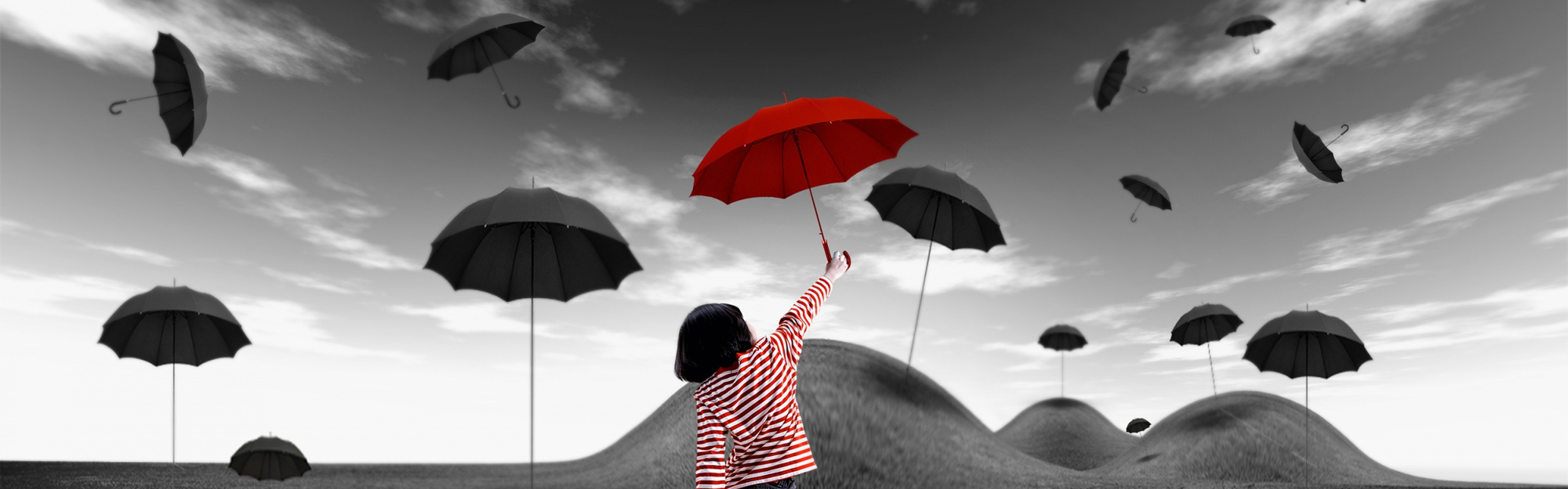risk management